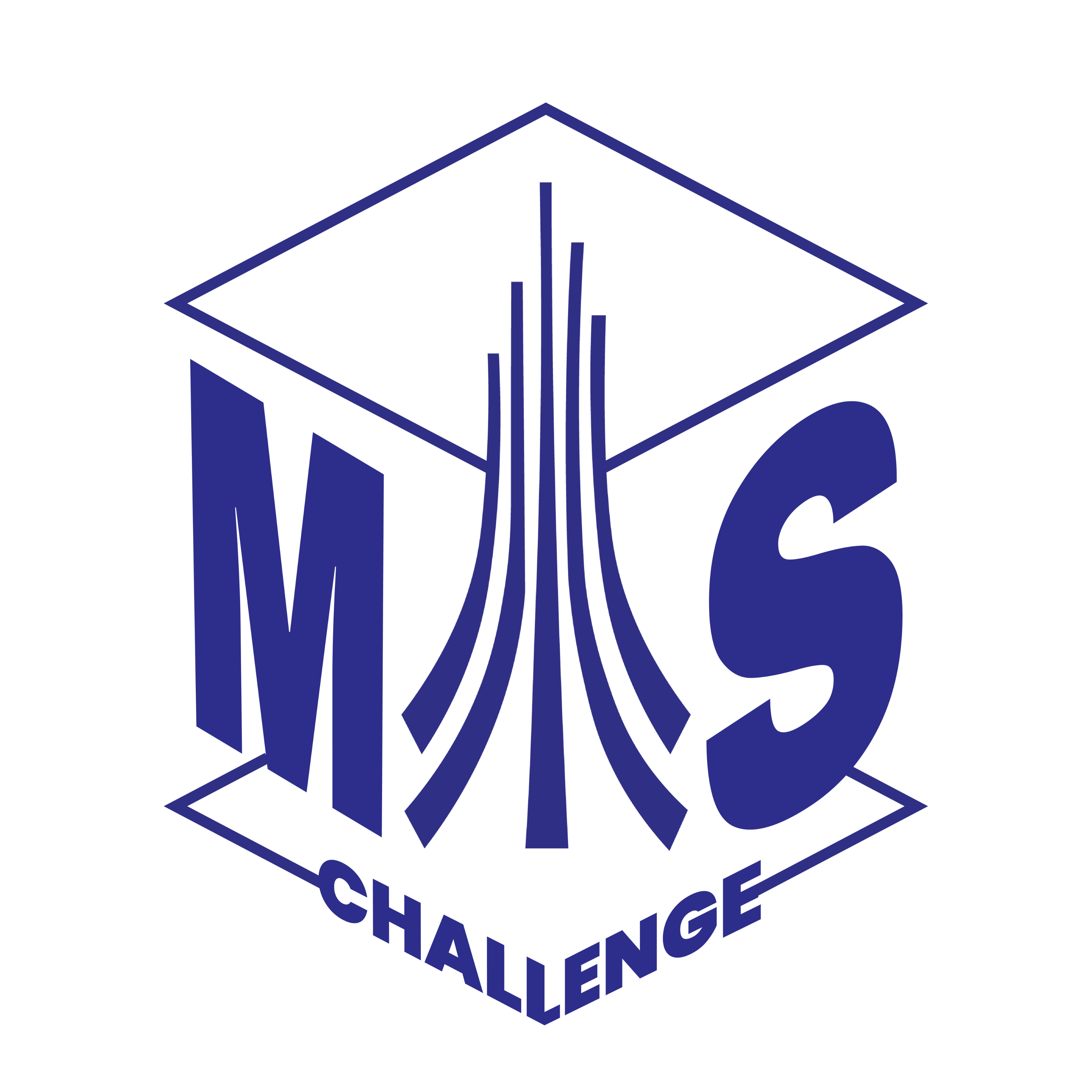MIS Challenge
